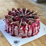 SkogsberdromKakeWeb01.jpg Konditori